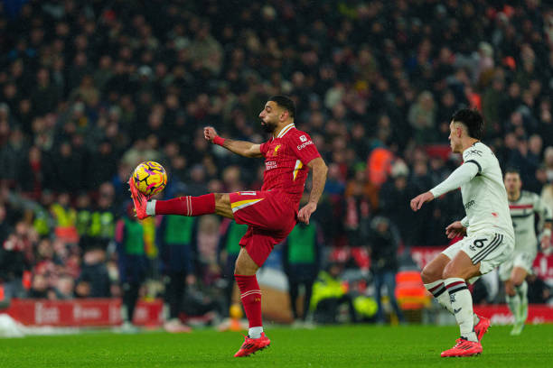 年奠定了坚 年奠定了坚